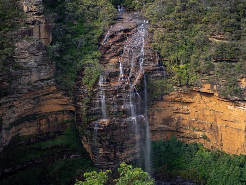 Wasserfall in den Blue Mountains, Australien, umgeben von Grün