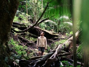 Mann steht in Australien im Lamington Nationalpark Regenwald