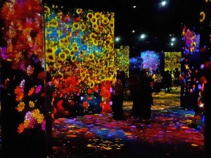 Bildschirmwände mit virtuellen Blumen in den team Lab Planets