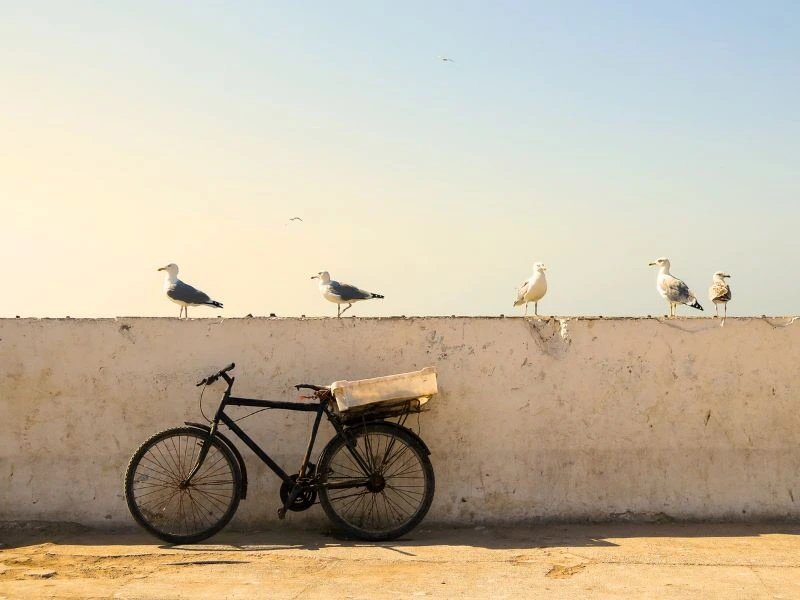 Taghazout Promenade Marokko