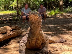 Komodowaran vor zwei Reisenden auf Komodo in Indonesien