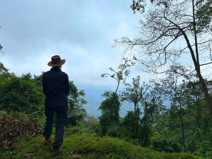 Naturwanderung in Bwindi - Blick in die Ferne