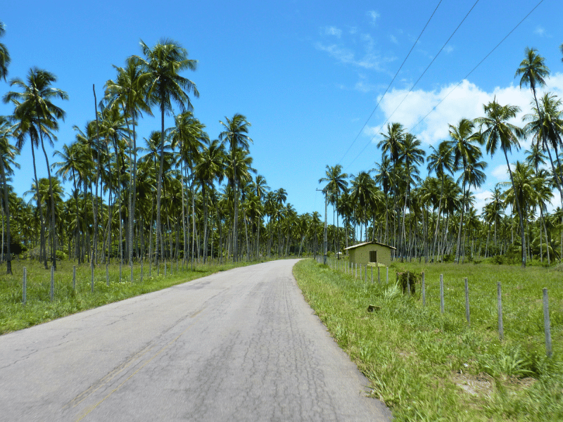 Strasse auf der Linha Verde in Brasilien