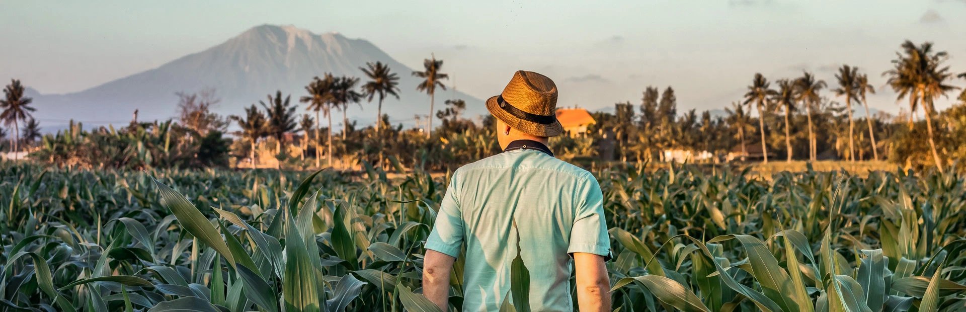 Reisender vor Zuckerrohplantage auf Bali