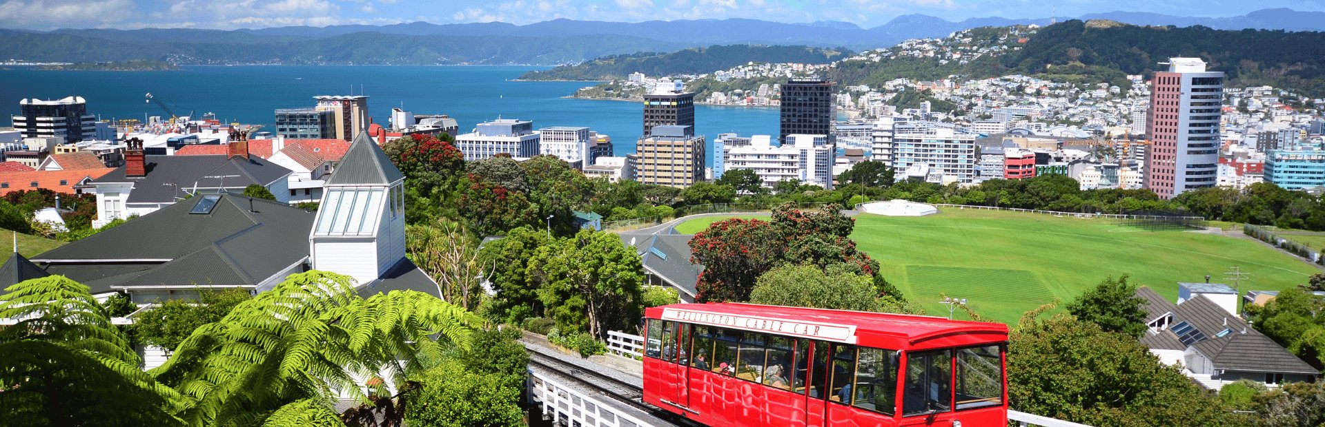 Aussicht auf Wellington mit der Cable Car