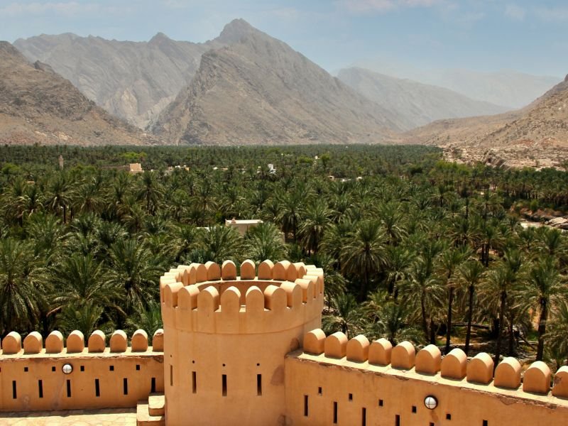 Blick auf die Palmen und Berge von Nizwa