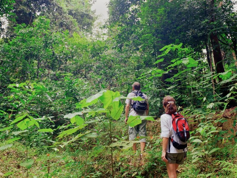 Wanderer im Sinharaja Regenwald in Sri Lanka