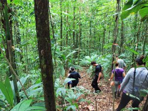 Wanderung durch den Dschungel bei San Juan Fluss in Nicaragua