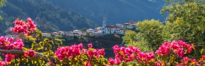 Portugal-Madeira-Natur-Startseite