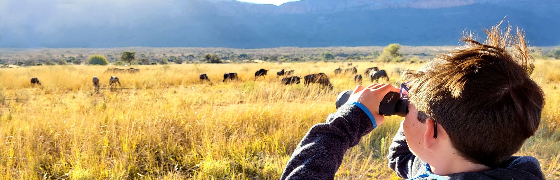 Junge beobachtet Tiere mit Fernglas auf Safari in Südafrika