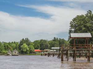 Tigre Delta
