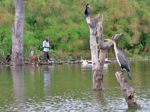 Lake Naivasha Nationalpark in Kenia