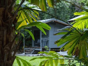 Lodge im Regenwald