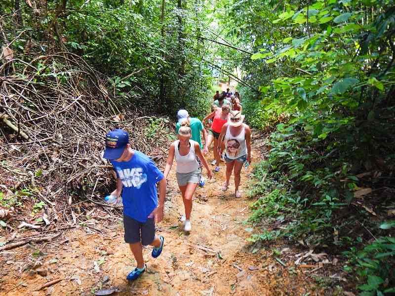 Wanderung im Khao Sok in Thailand