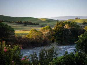 Fluss direkt neben der Unterkunft in Paihia, Neuseeland