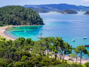 Nieuw Zeeland - Bay of islands