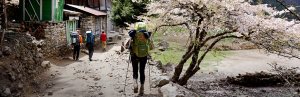 Trekking in Nepal