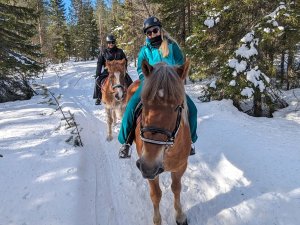 Reiten durch den Winterwald bei Rovaniemi, Lappland