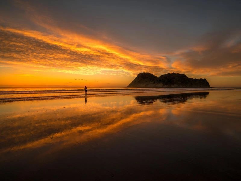 Der orangene Himmel spiegelt sich bei Ebbe im flachen Wasser am Strand in Gisborne, Neuseeland.