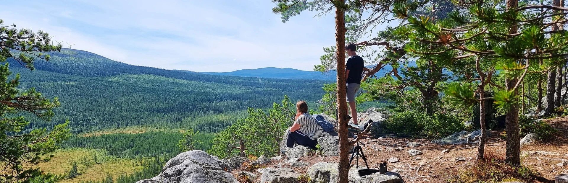 Auf Bärensuche im Sonfjaellet Nationalpark