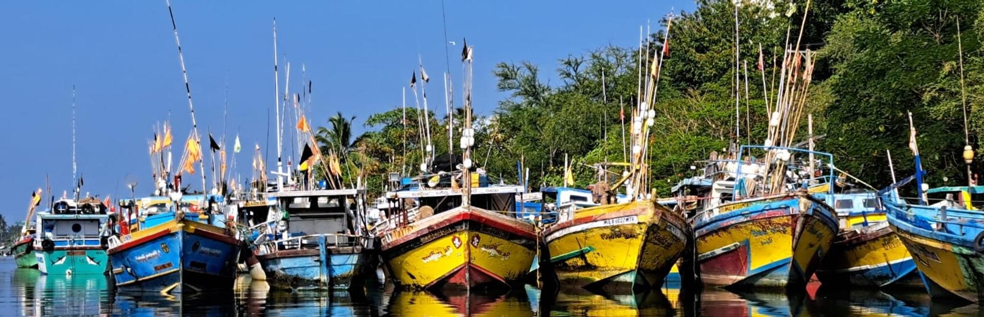 Fischerboot im Hafen von Negombo, Sri Lanka