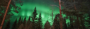 Polarlichter über Paljakka in Finnland, südlich von Lappland