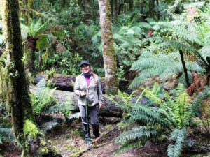 Lächelnde Frau mit Wanderstock steht in einem üppigen Wald in Australien mit Farnen und moosbewachsenen Bäumen