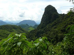 Waldbedeckter Karstberg im Norden von Laos
