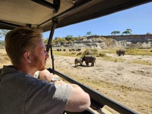 Blick vom Jeep in den Tarangire NP und Elefanten im Blick