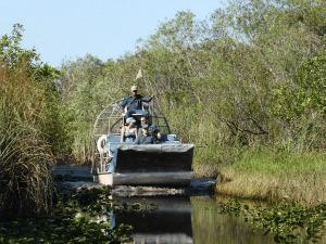 Airboat in den Everglades