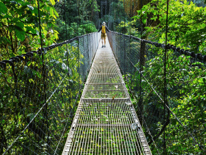 Hängebrücke in Monteverde, Costa Rica
