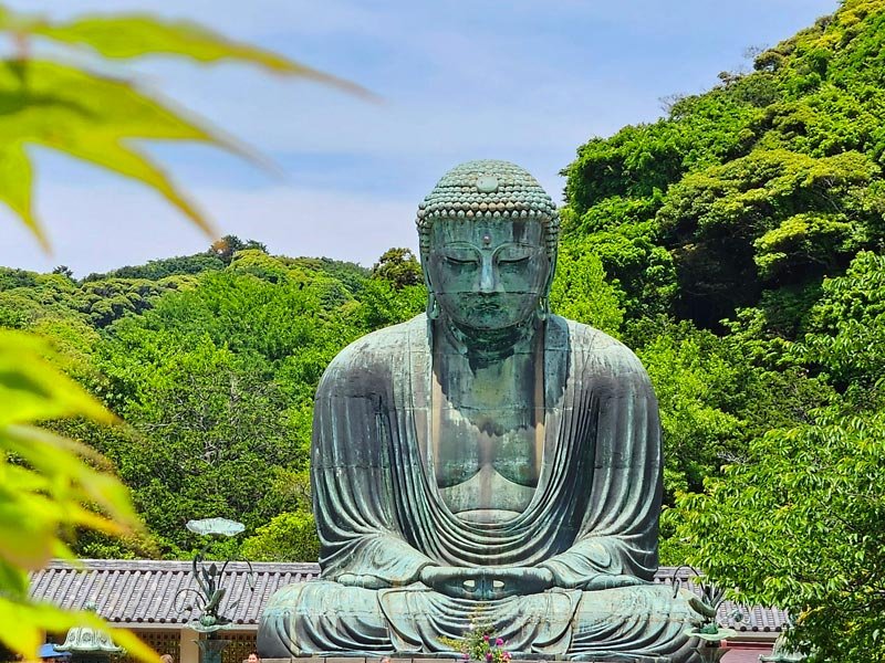 großer Buddha in Kamakura im Sommer