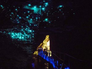 Personen in leuchten Glühwürmchenhöhlen in Waitomo, Neuseeland