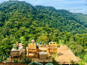 Bwindi Komfort Hotel Aussicht