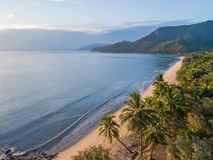 Strand und Palmen in Australien
