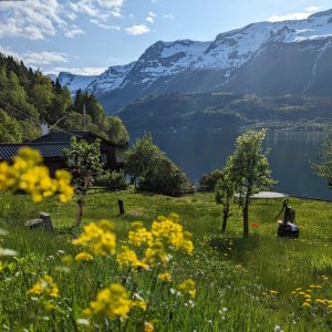 norwegen Blog Odda Norwegen ApfelblĂĽte Cider Hardanger Reisen