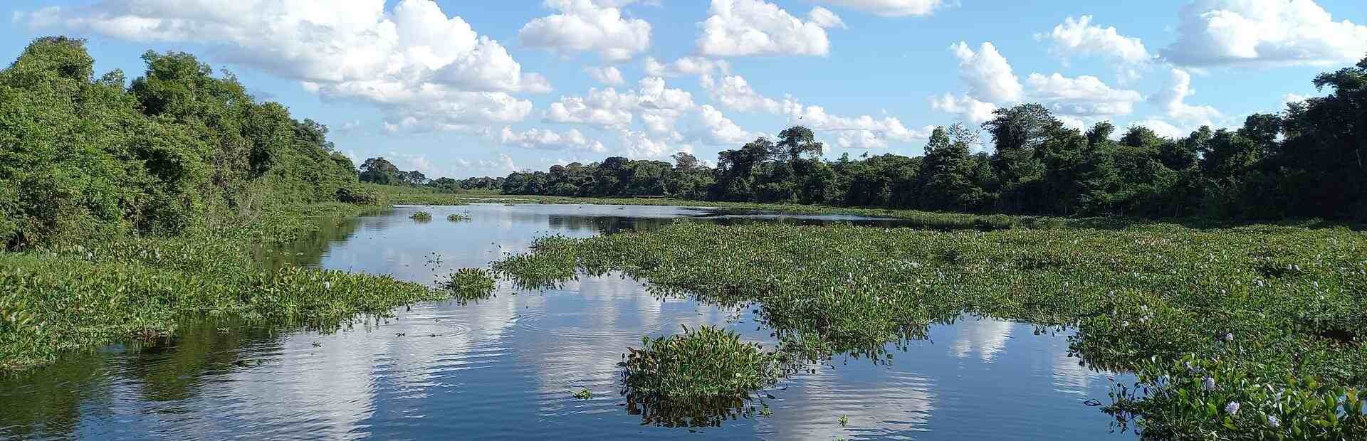 Fluss im Süd-Pantanal in Brasilien