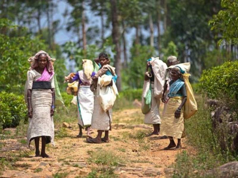 Locals in Sri Lanka
