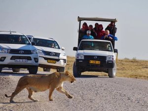 Namibia Etosha Familienreise Safari mit eigenem Mietwagen
