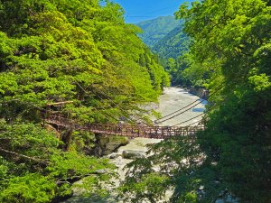 Hängebrücke im Iya Tal in Shikoko in Japan