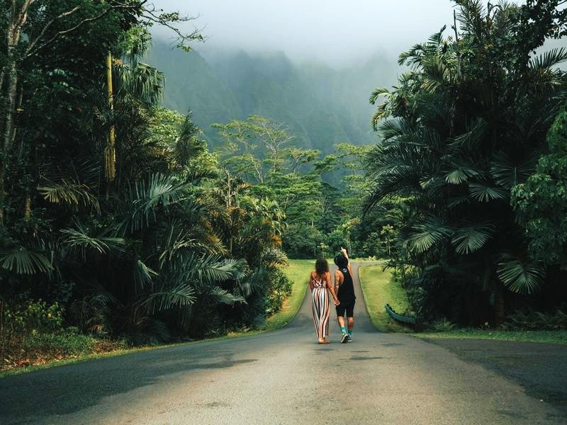Straße auf Oahu
