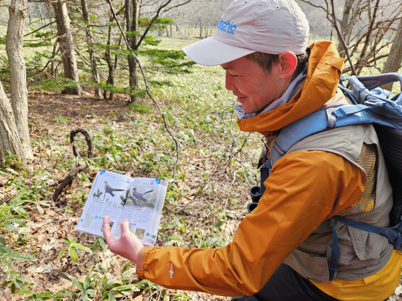 Guide zeigt, welche Tiere es in Japan gibt
