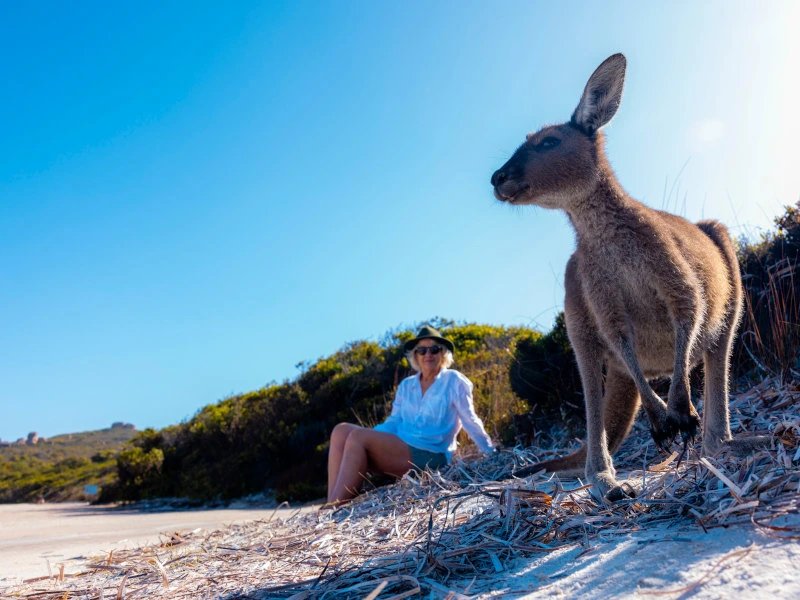 Frau sitzt am Strand, im Vordergrund ein Känguru