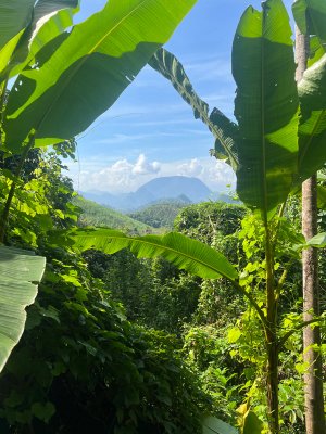 Laos