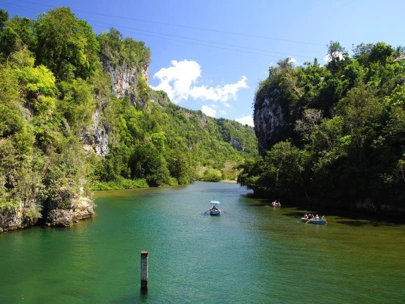 Boote fahren auf einem leuchtend grünen Fluss zwischen steilen bewaldeten Klippen unter strahlend blauem Himmel im Sumidero-Canyon, Mexiko