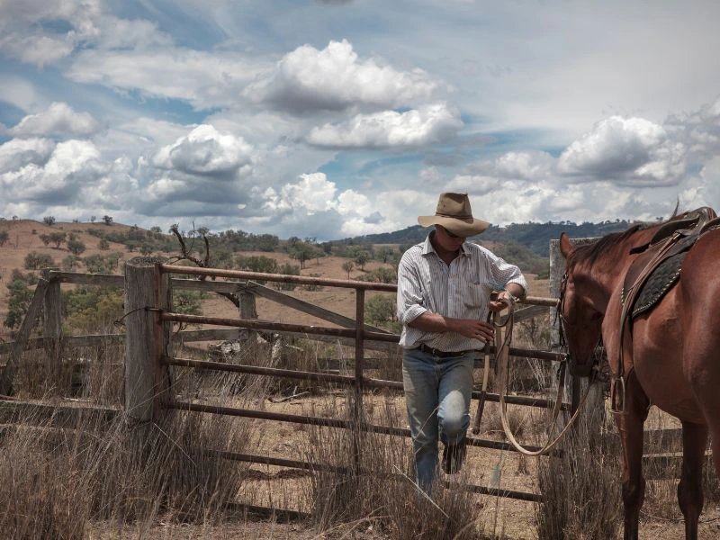 Pferd und Reiter in Australien