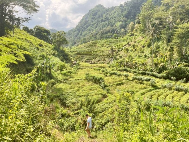 Wandern im grünen Tal in Sidemen auf Bali