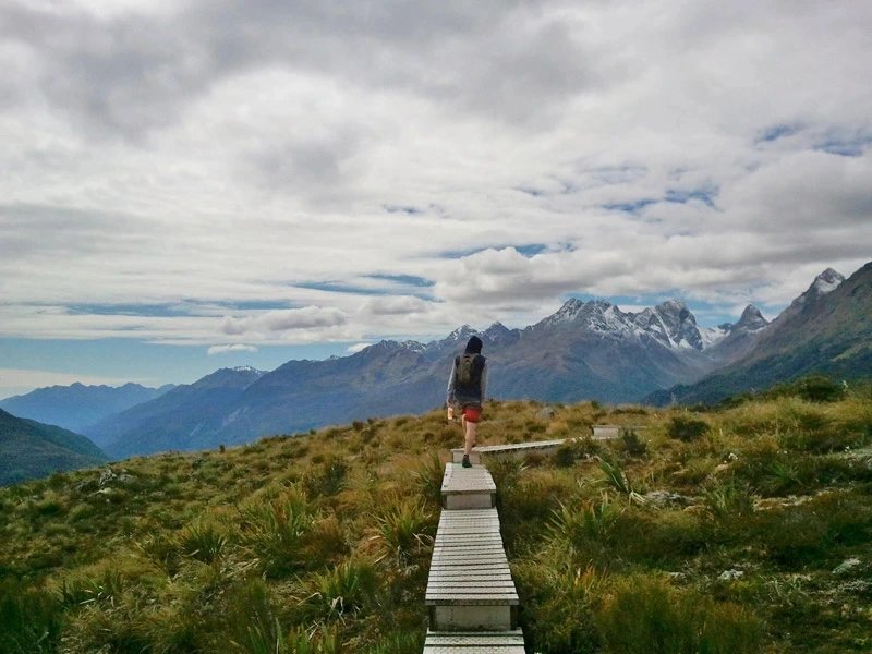 Milford track