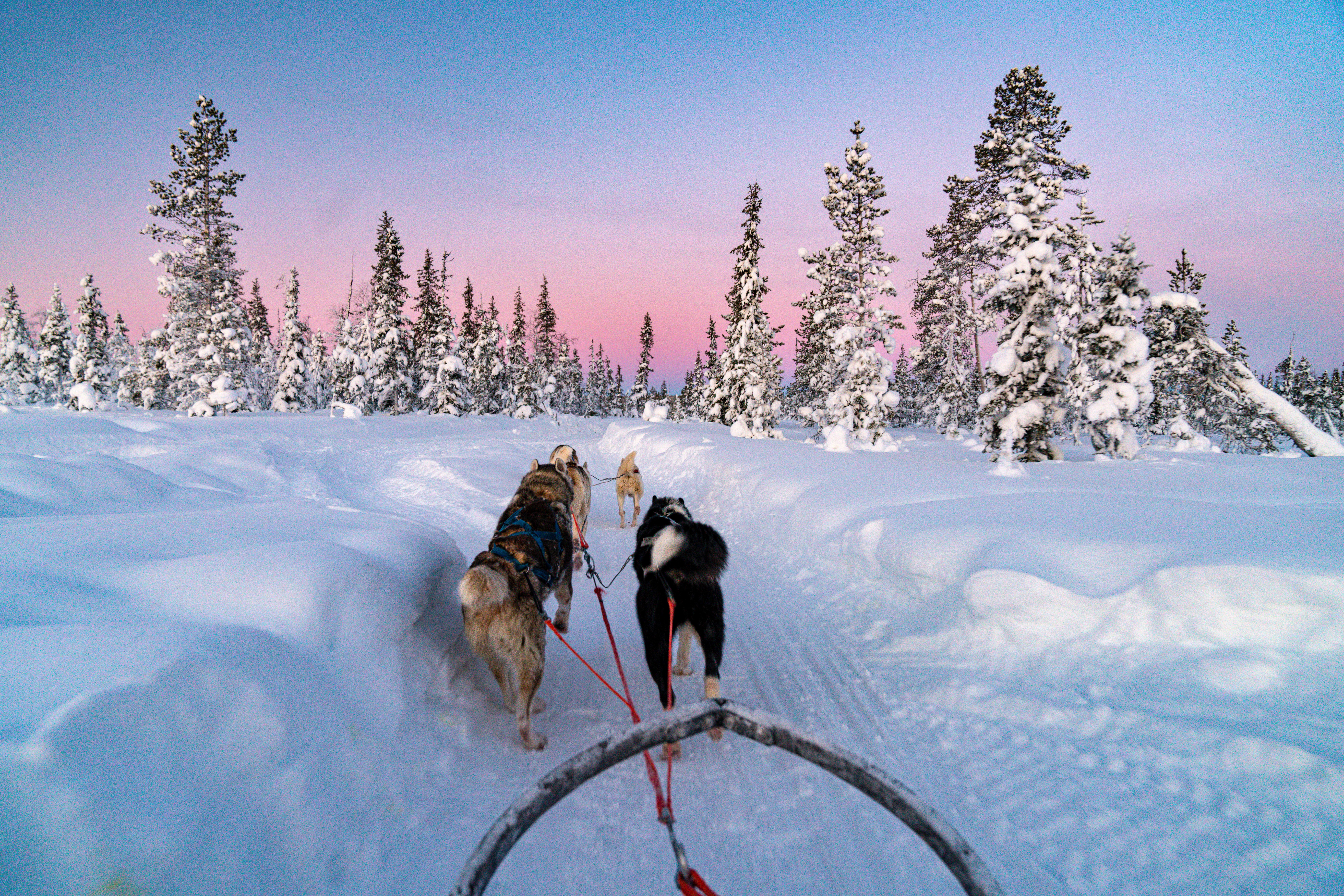 Lappland