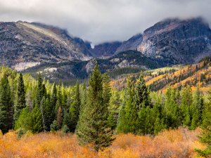 Bergige Landschaft in den Rocky Mountains